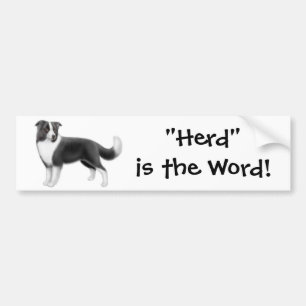 Autocollant De Voiture Border collie vivant en troupe l'adhésif pour