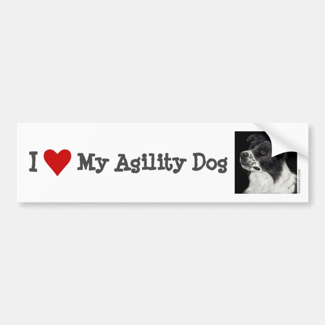 Autocollant De Voiture Bordure Collie Bumper Sticker - "Ben" 2 (Devant)