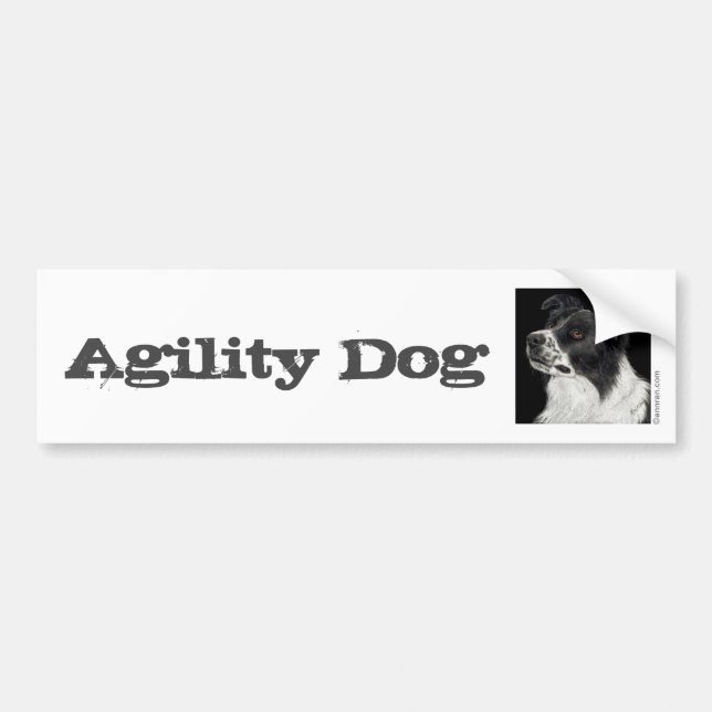 Autocollant De Voiture Bordure Collie Bumper Sticker - "Ben" 3 (Devant)