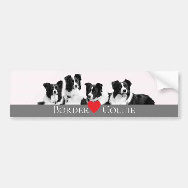 Autocollant De Voiture Bordure Collie Love (Devant)