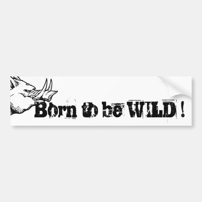 Autocollant De Voiture Born to be WILD ! (Devant)