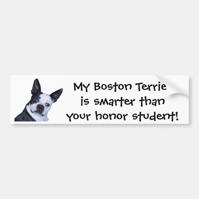 Autocollant De Voiture Boston futé Terrier - adhésif pour pare-chocs (Devant)