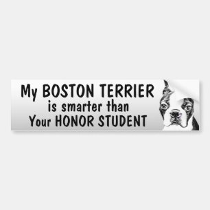Autocollant De Voiture Boston Terrier - plus futé que l'étudiant - drôle