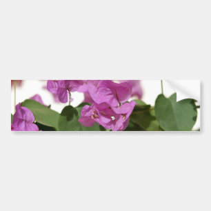 Autocollant De Voiture Bougainvillée