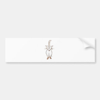 AUTOCOLLANT DE VOITURE BOUT CE QUI ?