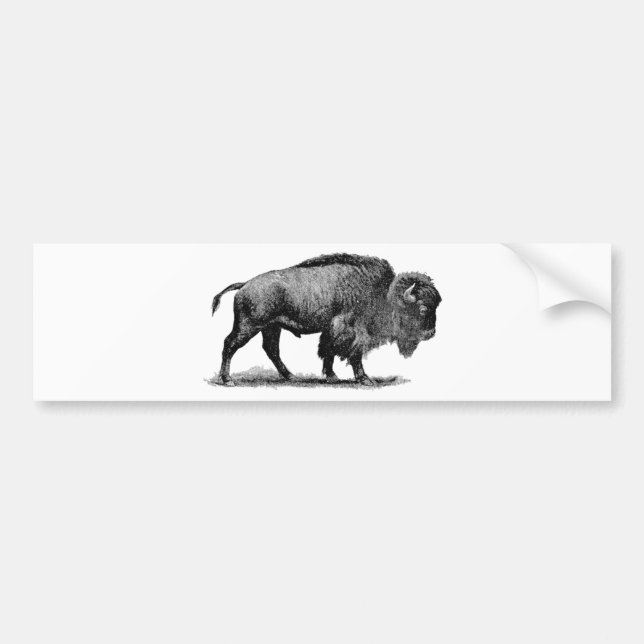 Autocollant De Voiture Buffalo américain (Devant)