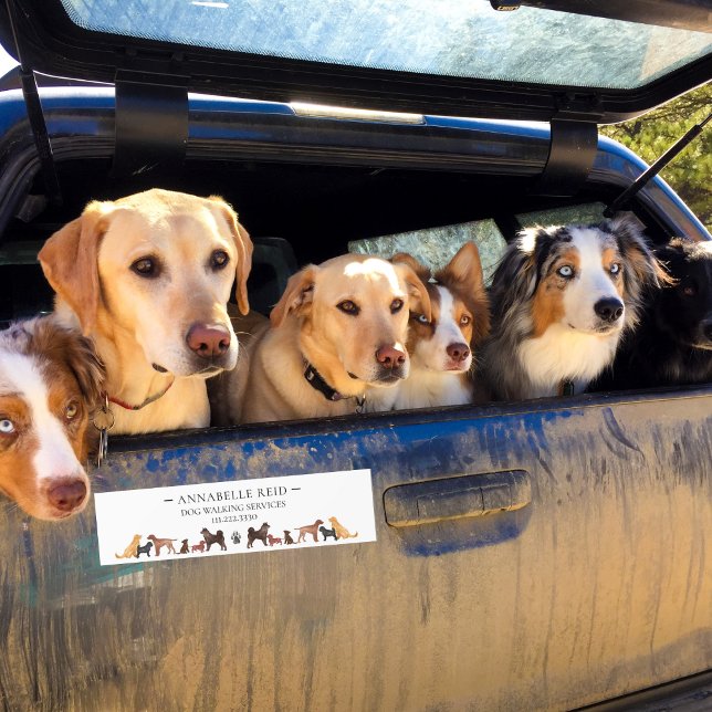 Autocollant De Voiture Bug Walker Animaux de compagnie Sitter Publicité B (Créateur téléchargé)