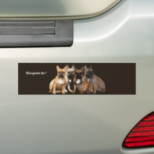 Autocollant De Voiture Bulldogen français Qu'est-ce que tu regardes ?