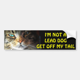 Autocollant De Voiture Bumper Cat n'est pas un chien de tête