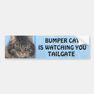 Autocollant De Voiture Bumper Cat regarde le mème TAILGATE 6