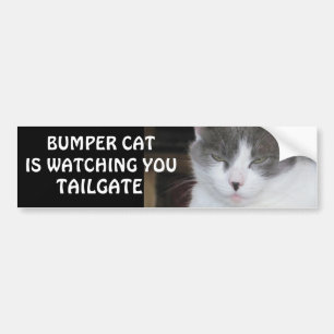 Autocollant De Voiture Bumper Cat regarde TAILGATE 18