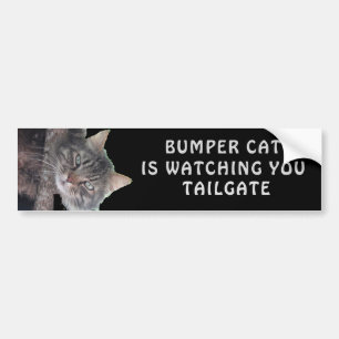 Autocollant De Voiture Bumper Cat regarde TAILGATE 45
