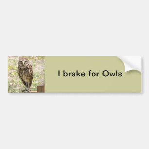 Autocollant De Voiture Bumper Sticker, Braque pour Chouettes, Chouette à 
