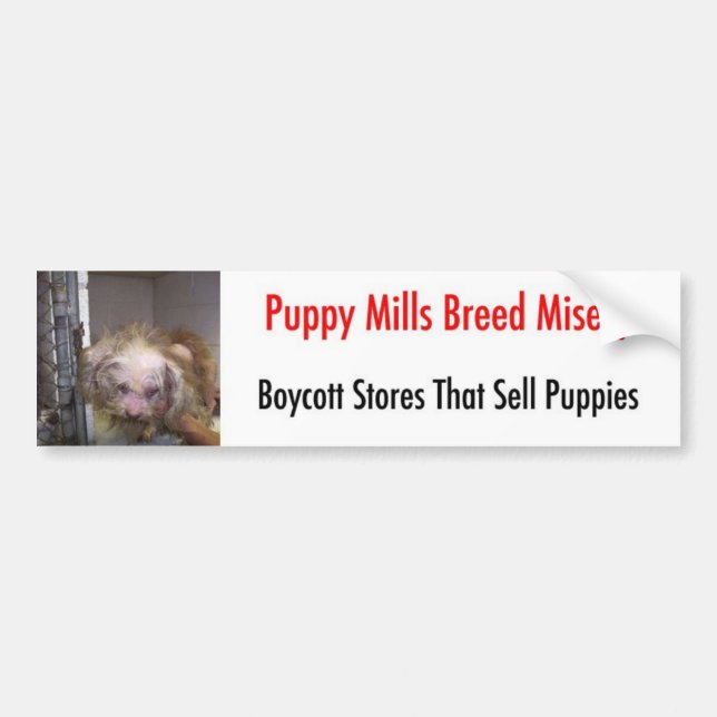 Autocollant De Voiture Bumpersticker (Devant)