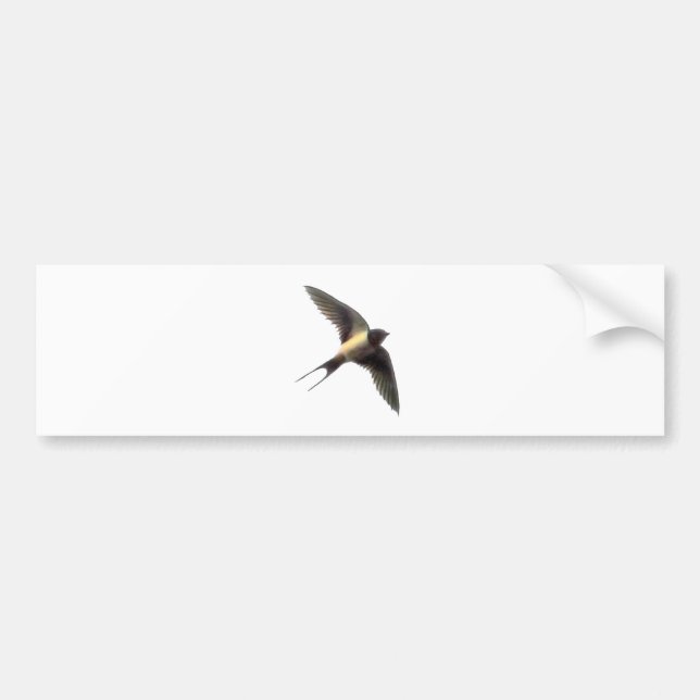Autocollant De Voiture Bumpersticker avale avec Arrière - plan blanc (Devant)