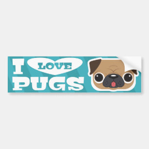 Autocollant De Voiture Bumpersticker bleu-clair de CARLINS d'AMOUR de