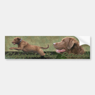 Autocollant De Voiture Bumpersticker de Retriever de la Baie de