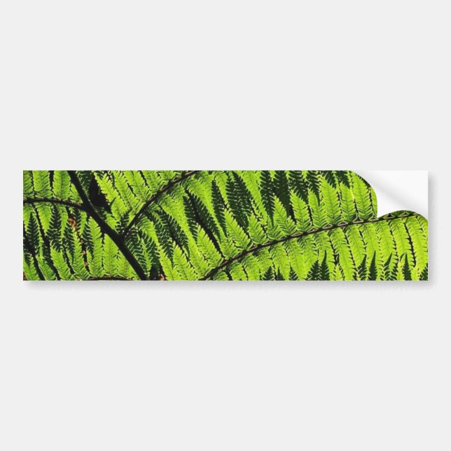 Autocollant De Voiture Bumpersticule à feuilles vertes (Devant)