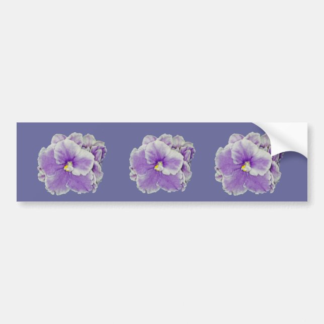 Autocollant De Voiture Cadeaux de pourpre de violette africaine (Devant)