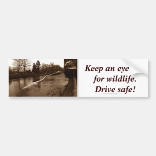 Autocollant De Voiture Cadeaux Elasmosaurus