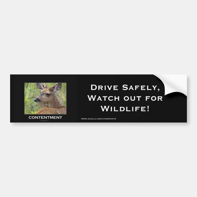 Autocollant De Voiture Cadeaux motivés de cerfs (Devant)