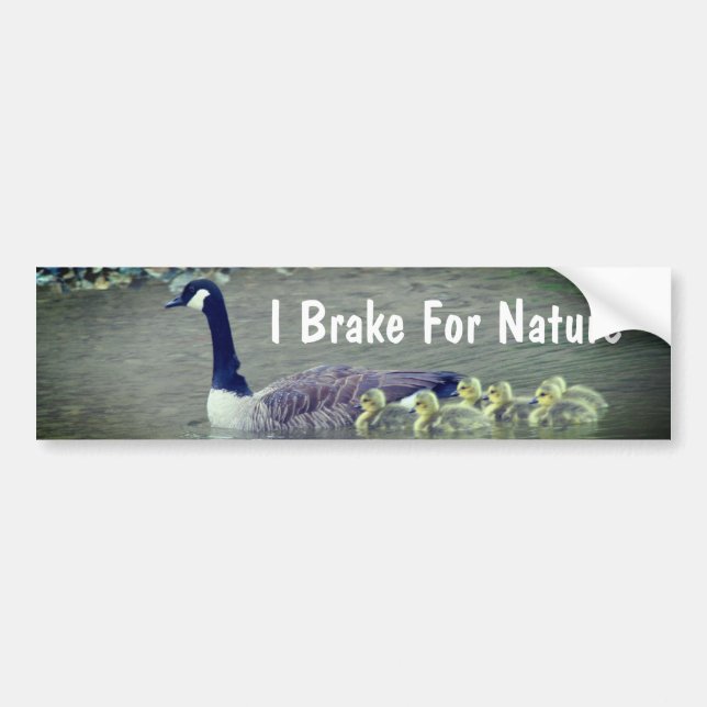 Autocollant De Voiture Canada Goose Babies I Brake For Nature  (Devant)