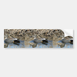Autocollant De Voiture Canard chipeau Drake