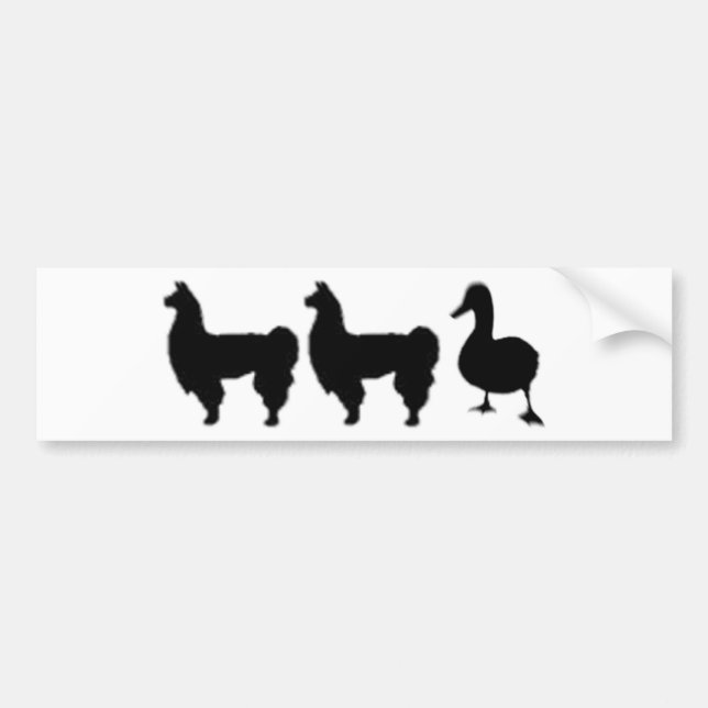 Autocollant De Voiture Canard de lama de lama (Devant)