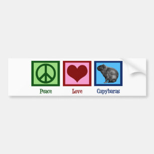 Autocollant De Voiture Capybaras d'amour de paix