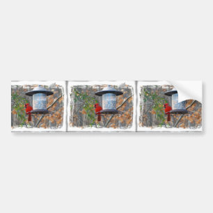 Autocollant De Voiture Cardinal masculin