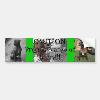 Autocollant De Voiture Cargaison précieuse