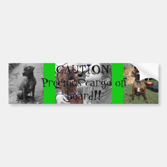 Autocollant De Voiture Cargaison précieuse (Devant)