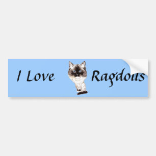 Autocollant De Voiture Caricature de Ragdoll