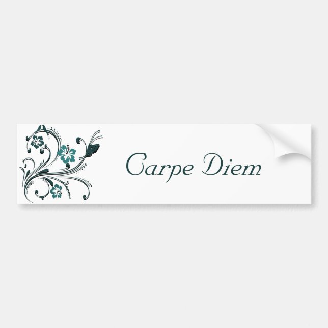 Autocollant De Voiture Carpe Diem (Devant)