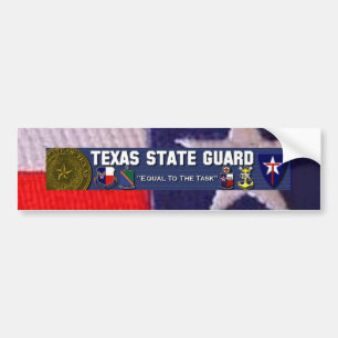 Autocollant De Voiture Carré de drapeau de TX, permis plt de TXSG