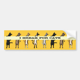 Autocollant De Voiture Cat Gang With Banner