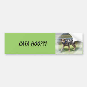 AUTOCOLLANT DE VOITURE CATA HOO ? ? ? ADHÉSIF POUR PARE-CHOCS