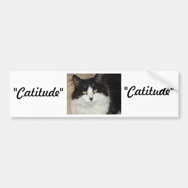 Autocollant De Voiture Catitude Chat avec une attitude (Devant)