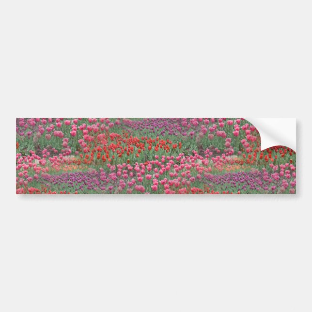 Autocollant De Voiture Champ De Tulipes (Devant)