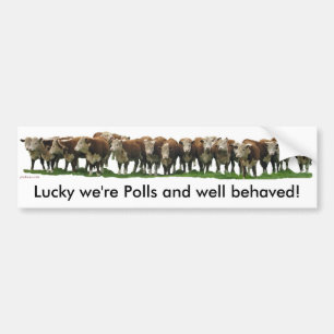 Autocollant De Voiture Chanceux nous sommes scrutin Herefords