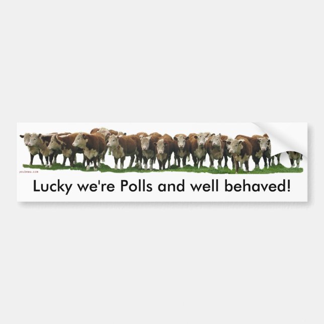 Autocollant De Voiture Chanceux nous sommes scrutin Herefords (Devant)