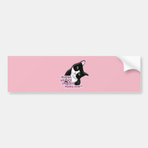 Autocollant De Voiture Chat de la Fête des Mères
