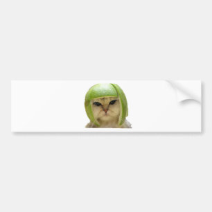 Autocollant De Voiture chat de melon