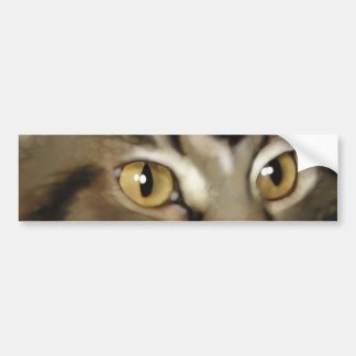 Autocollant De Voiture Chat de ragondin tigré noir du Maine
