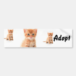 Autocollant De Voiture Chat Kitten Chien Adopter le pare-chocs Sticker
