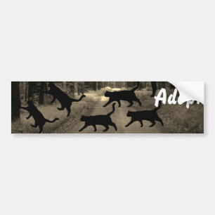 Autocollant De Voiture Chat Kitten Chien Adopter le pare-chocs Sticker