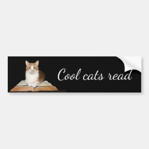 Autocollant De Voiture Chat littéraire instruit de minou