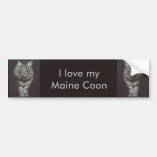 Autocollant De Voiture Chat Maine Coon