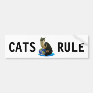 Autocollant De Voiture Chat tigré & Globe terrestre
