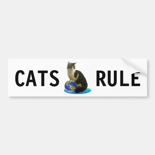 Autocollant De Voiture Chat tigré & Globe terrestre (Devant)